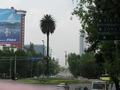 2005 Mexiko (09).JPG